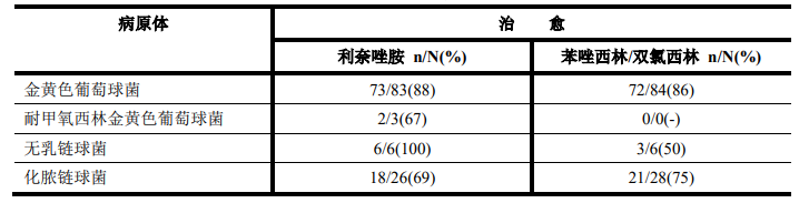 图片预览