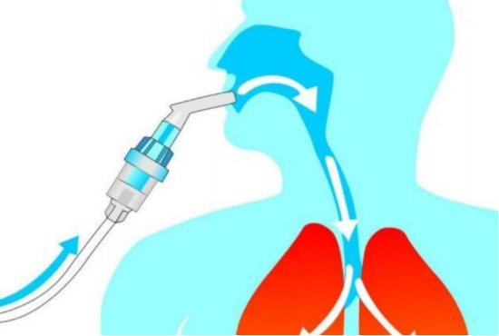 ADME系列—肺代谢与药物研发
