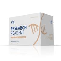 细胞膜电位检测试剂盒