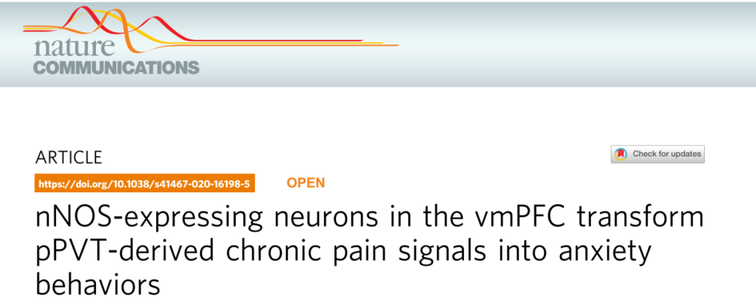 慢性疼痛与焦虑症