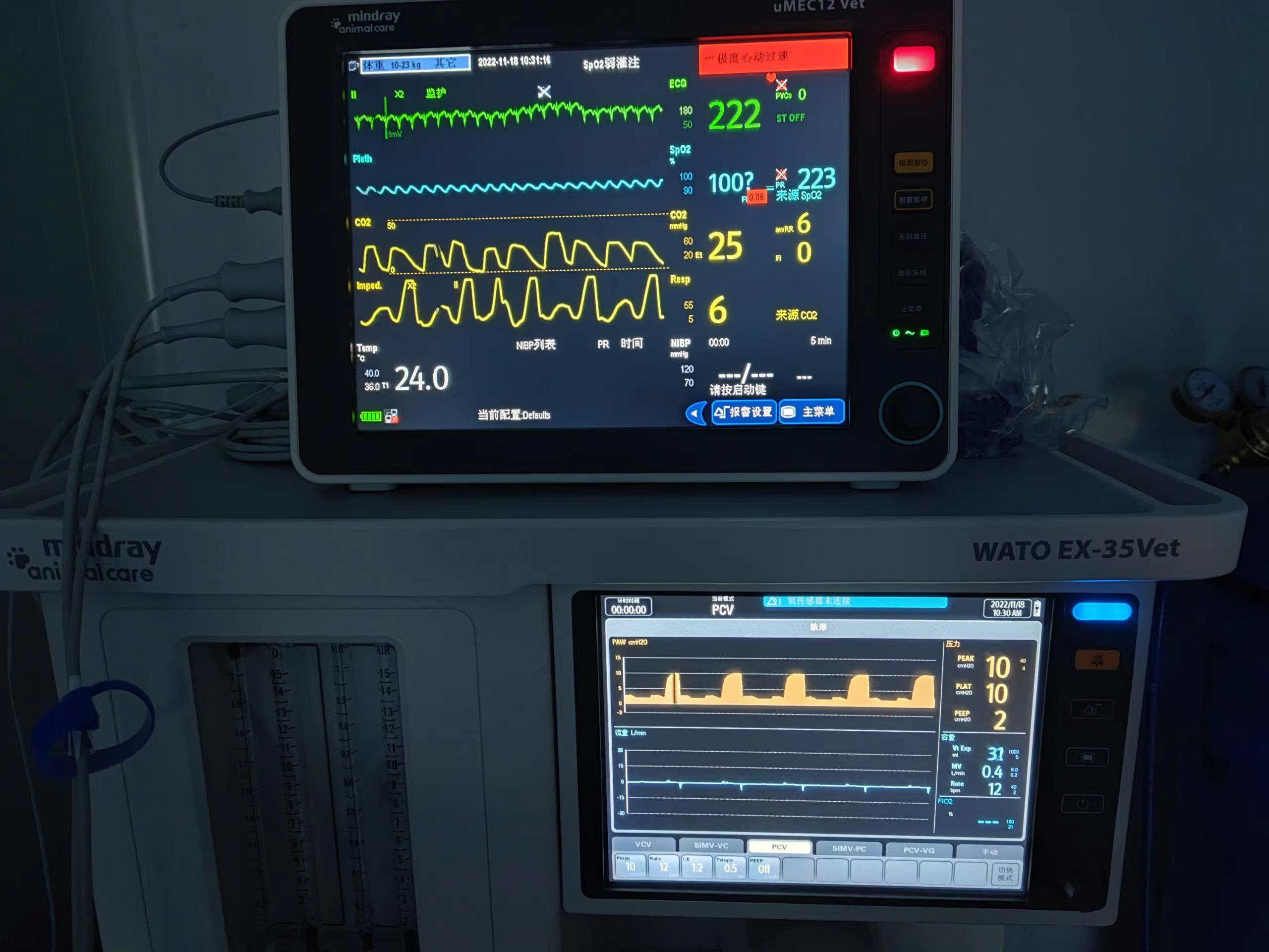 阳康了吗？今天不聊羊，聊兔子无创式气管插管吧