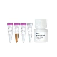 mRNA抓取试剂盒 VAHTS mRNA Capture Beads 2.0（N403）