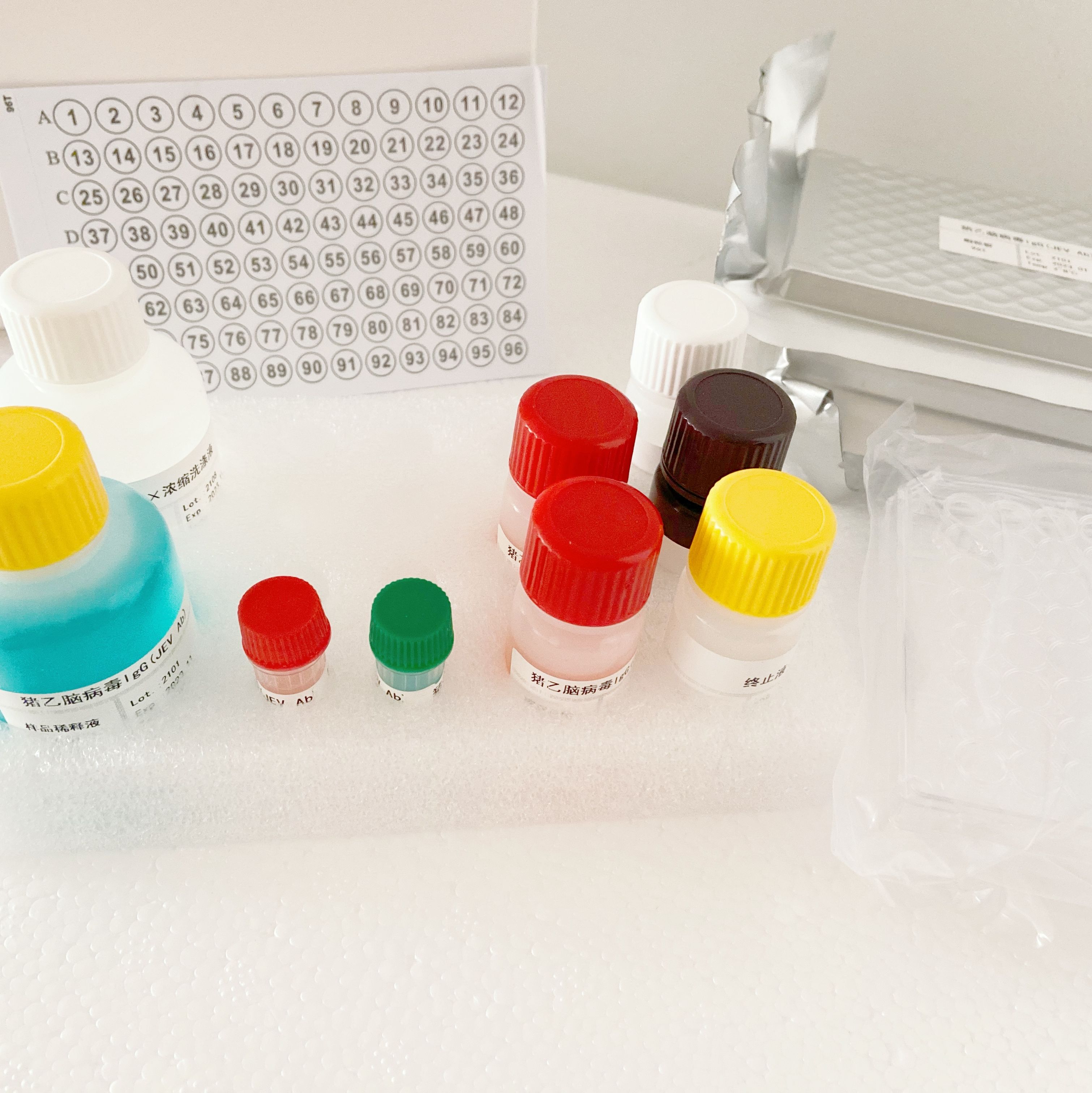 人皮肤反应因子/炎性因子(SRF/IF)ELISA试剂盒