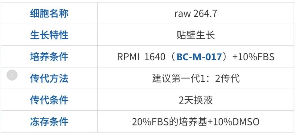 Raw264.7细胞培养建议|杭州昊鑫生物