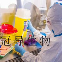 HC11 Mammary Epithelium;细胞种子库出厂价