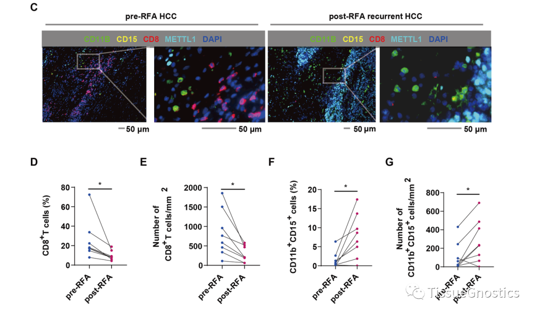 2022年度精选微信图文前10