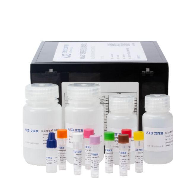 AlphaTSA® 7色全自动免疫组化染色试剂盒 自动 100片 不含二抗