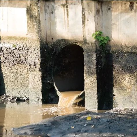 【新品】污水样本核酸提取试剂盒及自动化解决方案