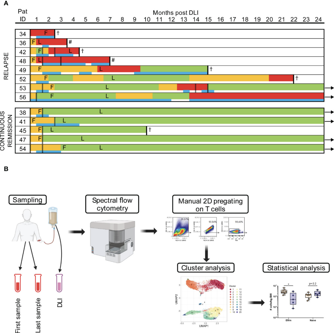 精准先行，全光谱流式助力血液病精准诊疗