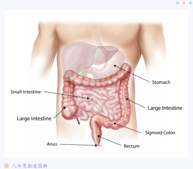 硫酸铝——给消化道溃疡伤口盖上保护膜