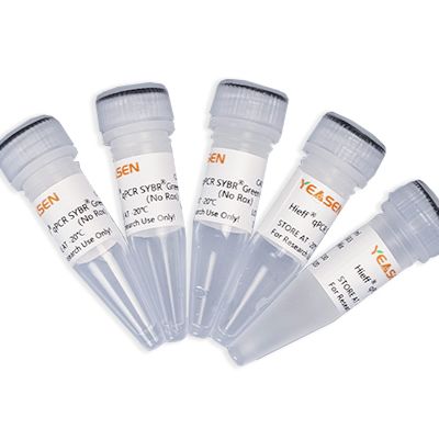 Hieff qPCR SYBR Green Master Mix/qPCR预混液/荧光定量PCR预混液