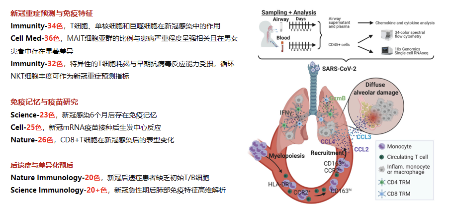 儿童感染新冠后免疫应答与成人不同，感染后接种疫苗或有利于巩固免疫记忆