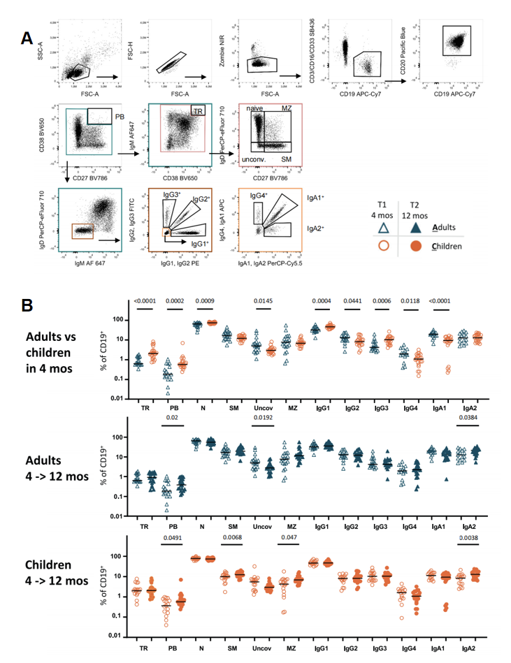 儿童感染新冠后免疫应答与成人不同，感染后接种疫苗或有利于巩固免疫记忆