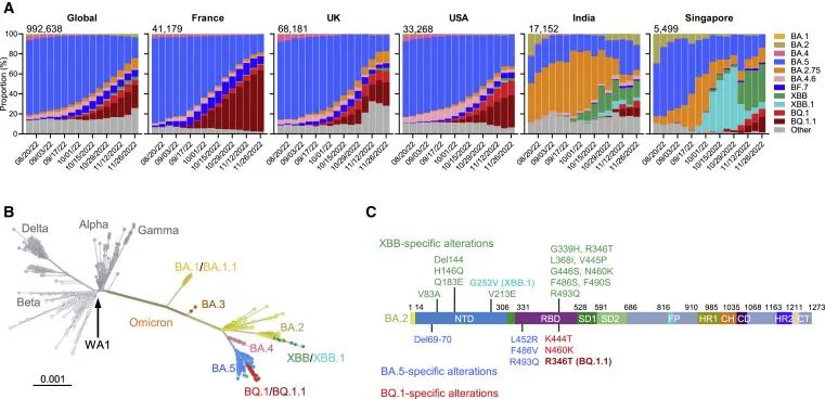 BA.5又双叒out啦!奥密克戎BQ和XBB变种已占主导地位,免疫逃逸能力更强,现有抗体全部失效,疫苗效果下降!