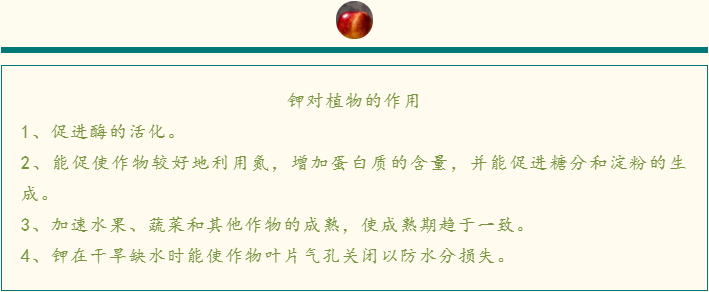 什么是土壤的营养师，也是肠道的清理工？