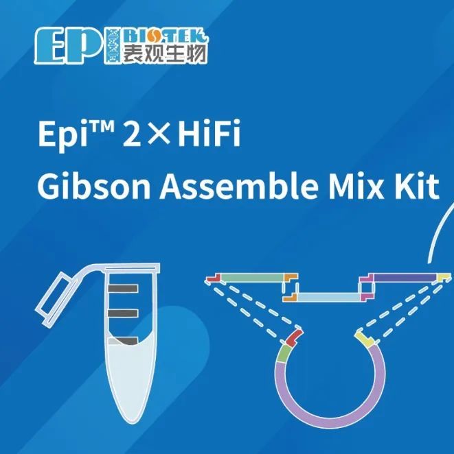 Gibson无缝连接试剂盒发布啦！Epi™ 2×HiFi Gibson Assemble Mix Kit