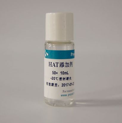 HAT添加剂(50×)