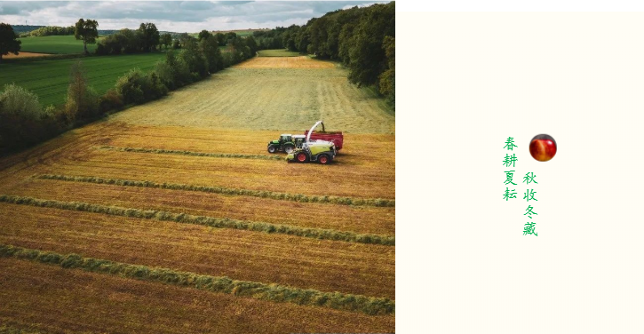 什么是土壤的营养师，也是肠道的清理工？