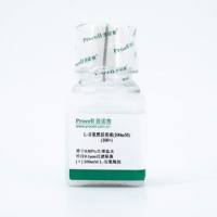 L-谷氨酰胺溶液(200mM)，100X