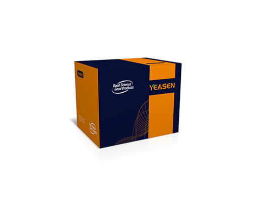 天然蛋白预制胶缓冲液(粉末) Precast Running