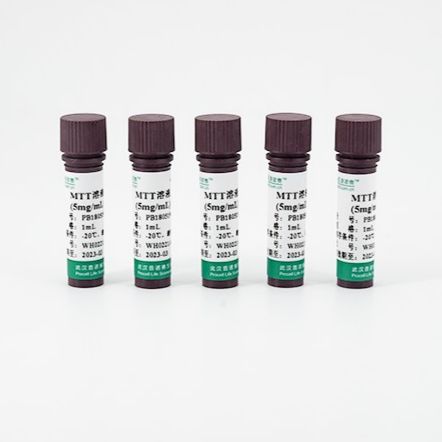 MTT / MTT溶液(5mg/mL)