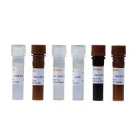 EdU细胞成像试剂盒(绿色荧光)EdU细胞增殖检测试剂盒