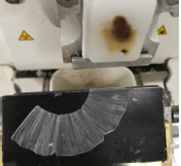 你问“沃”答 | 石蜡切片有哪些常见问题？如何补救？