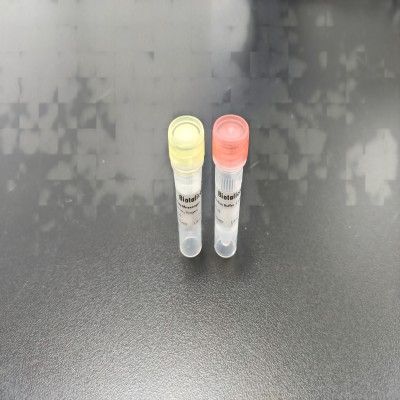 基因递送试剂盒