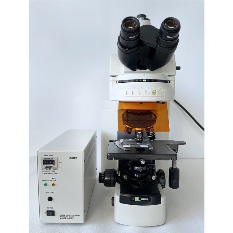 二手尼康80i正置三色荧光显微镜