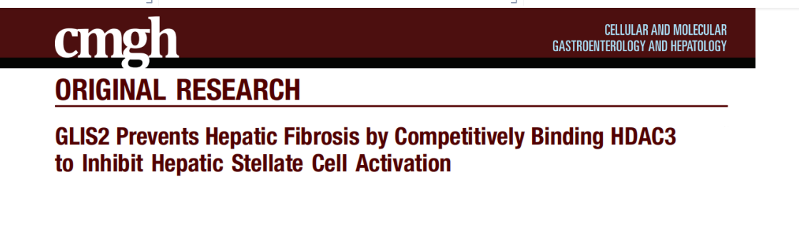 分子探针与表观遗传学研究好文分享：GLIS2通过竞争性结合HDAC3来抑制肝星状细胞的活化来防止肝纤维化(IF=8.797)