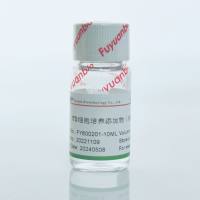 ITS细胞培养添加物（100X）