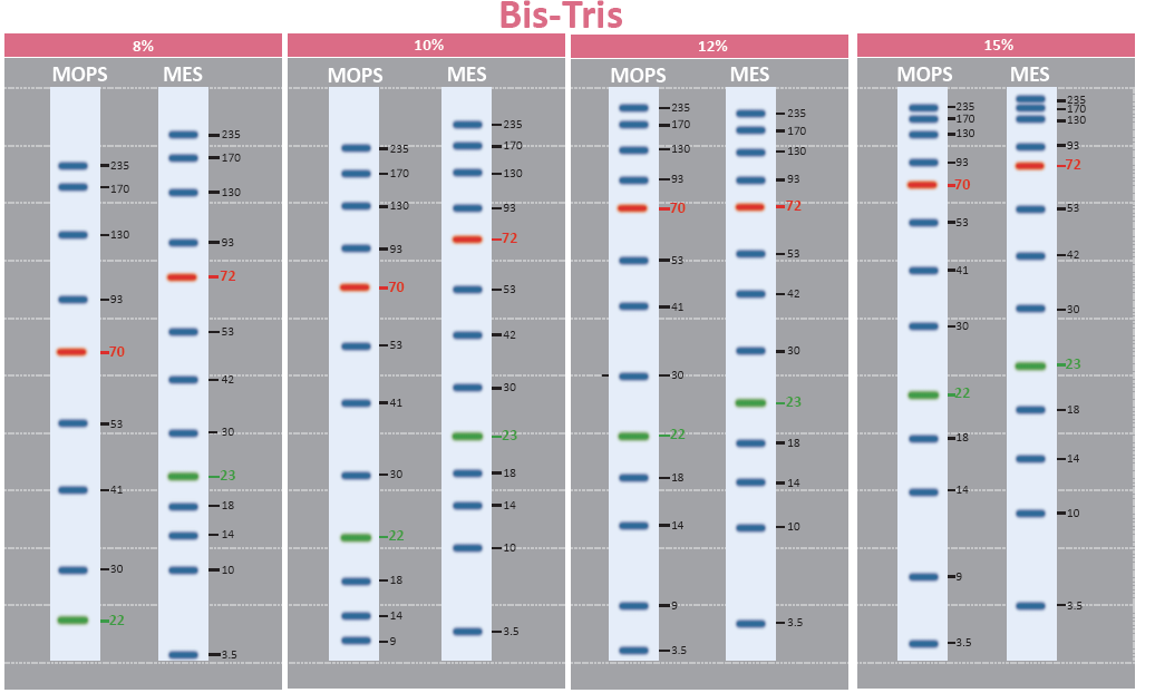 技术资料图片11