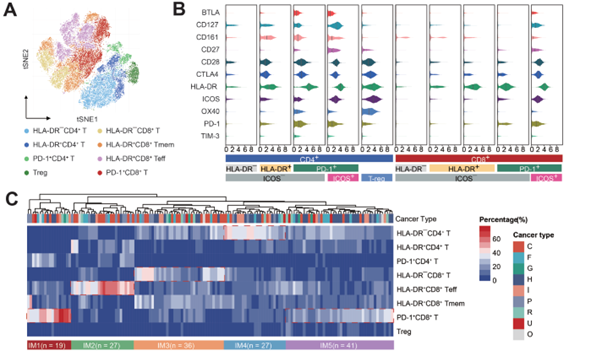 【Gastroenterology】(IF=33.88)质谱流式助力肝转移瘤的多组学景观