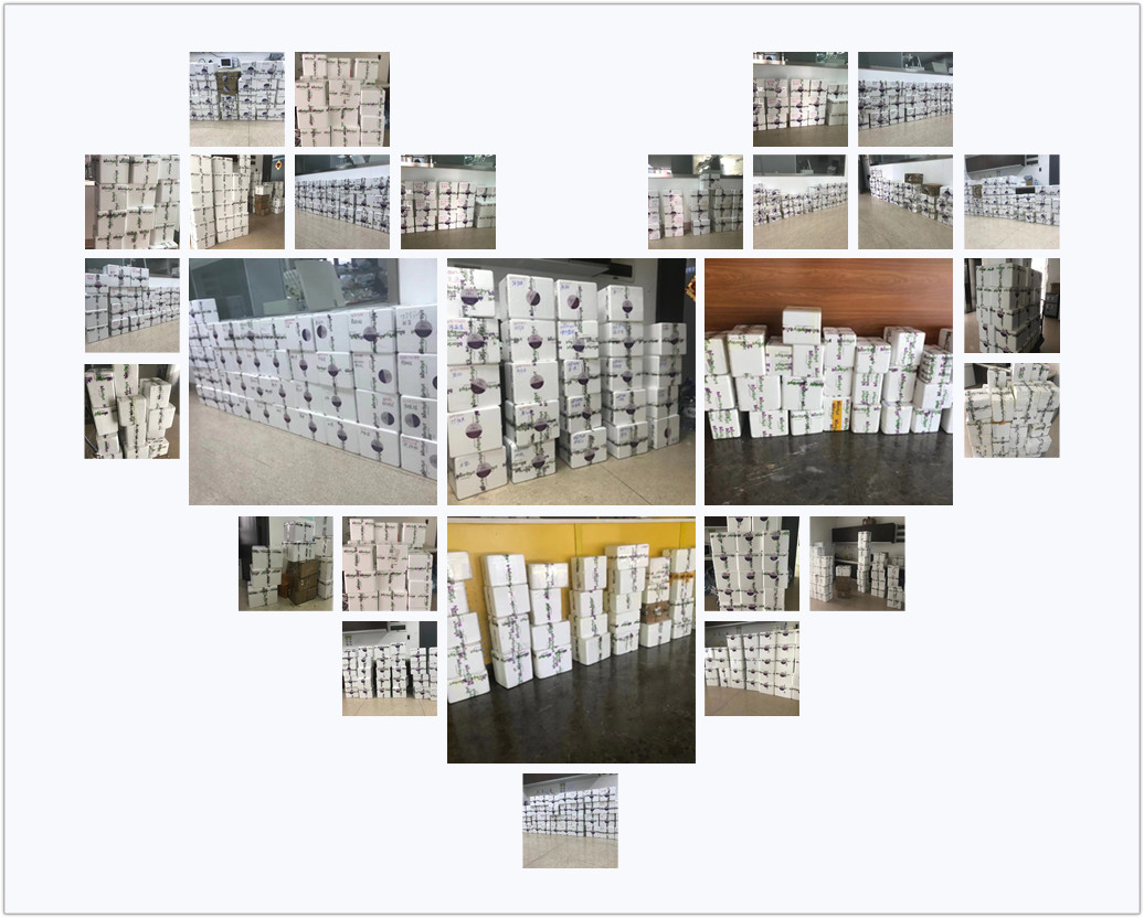 【Biorbyt 1月活动】：8000多Elisa试剂盒免费送！