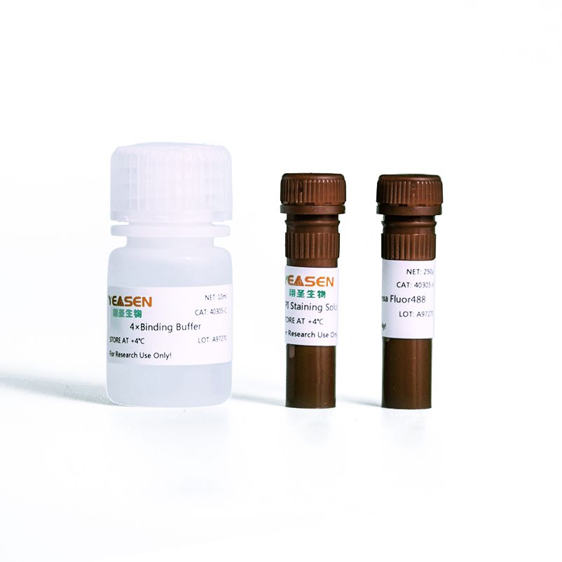 Annexin V-Alexa Fluor 488/PI细胞凋亡检测试剂盒