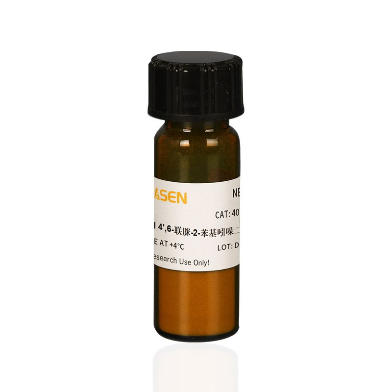 DAPI核酸染料(DAPI dihydrochloride)