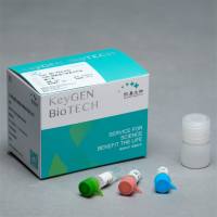 TUNEL检测核心装KGA1400-100