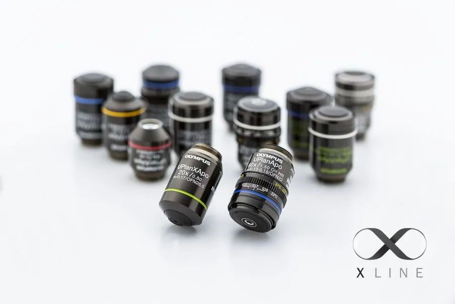 实验E招鲜丨X Line物镜三大核心优势助力科研实验 文末福利