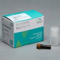 细胞凋亡线粒体膜电位检测试剂盒(JC-10)