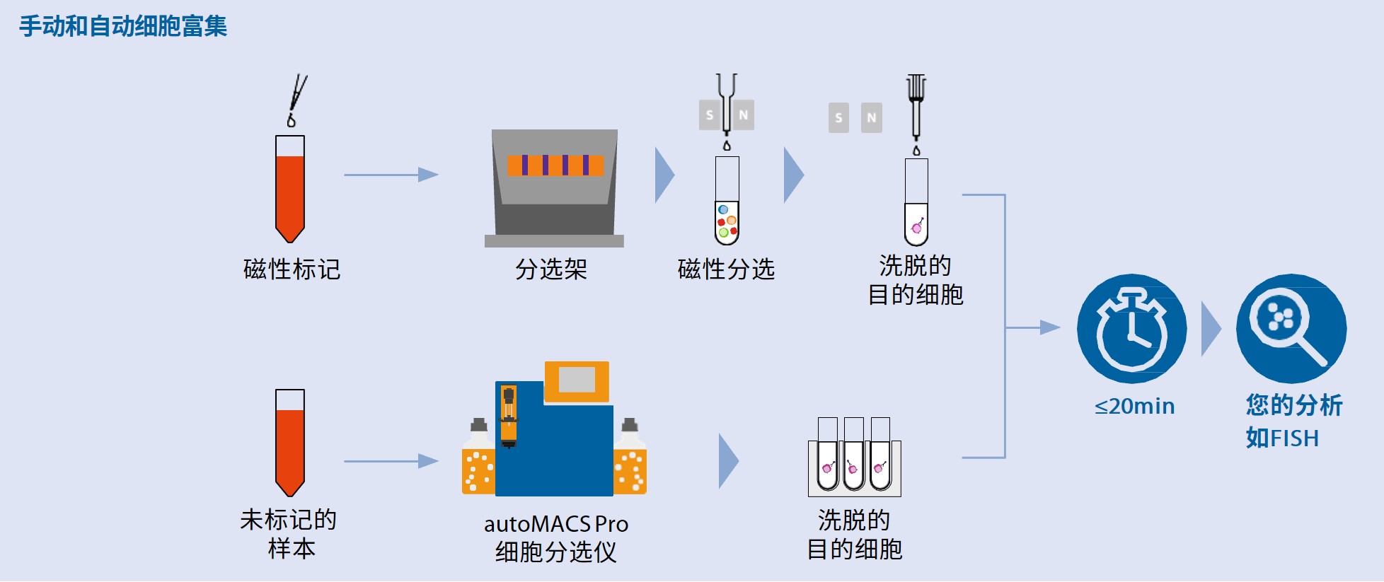 MACSprep™人多发性骨髓瘤CD138磁珠