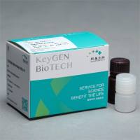 细胞周期检测试剂盒