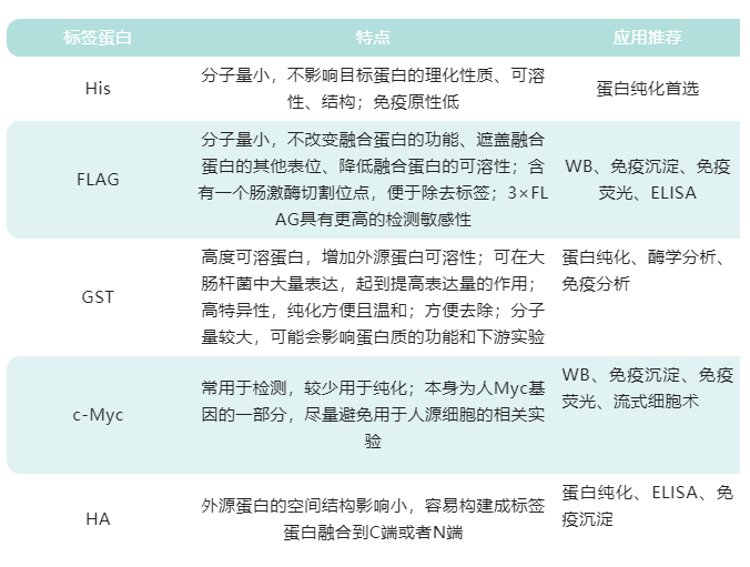 常用标签蛋白大盘点（亲和吸附标签篇）