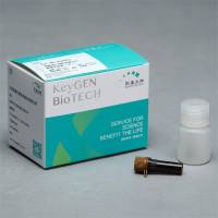 细胞凋亡线粒体膜电位检测试剂盒（JC-1）