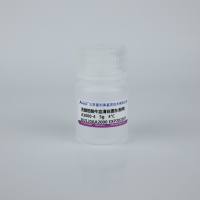 无脂肪酸牛血清白蛋白（粉末） A2000-4  厂家直销，提供OEM定制服务，大包装更优惠 