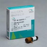 细胞pH指示荧光探针 BCECF, AM