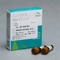 细胞粘附分析试剂盒（MP法）