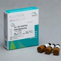 003细胞自噬亡检测试剂盒(IF/ICC法),双色可选