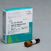 细胞迁移/细胞划痕分析染色试剂（FM、HCS法）