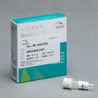 自噬标志物LC3β(微管关联蛋白)表达载体