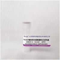 PKH67绿色荧光细胞膜标记试剂盒  C0023  厂家直销，提供OEM定制服务，大包装更优惠 